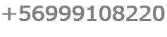 +56999108220 